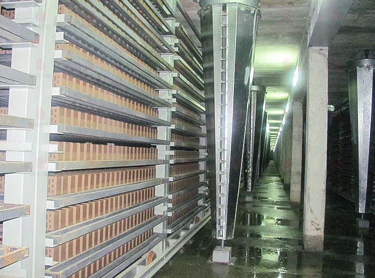 प्रसंस्करण में मिट्टी की ईंट सुखाने के लिए चक्रवात विभाजक की सुखाने की मशीन 1